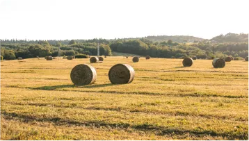 Innovaciones en Maquinaria Forestal para la Gestión Sostenible